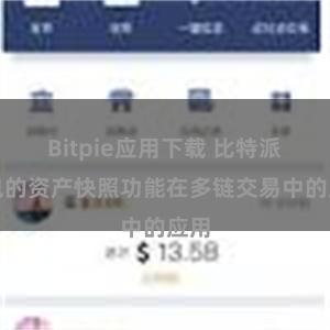 Bitpie应用下载 比特派钱包的资产快照功能在多链交易中的应用